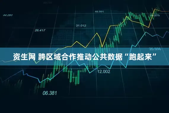 资生网 跨区域合作推动公共数据“跑起来”